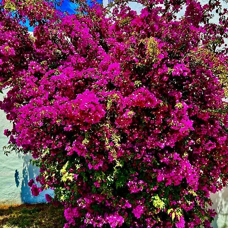 Solar Do Monte 1 * Албуфейра